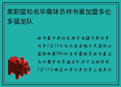 美职篮知名华裔球员林书豪加盟多伦多猛龙队